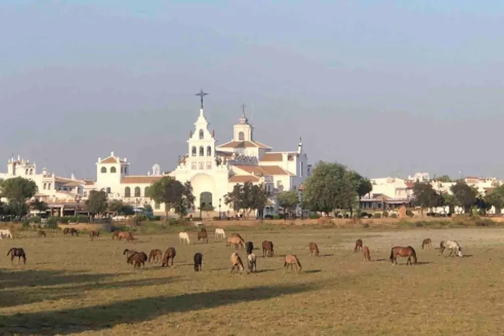 Casa Luz Del Rocio Refugio Con Alma A 8 Minutos De La Ermita Apartment